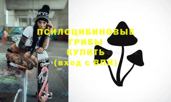 прущие крисы Няндома