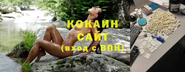 прущие крисы Няндома