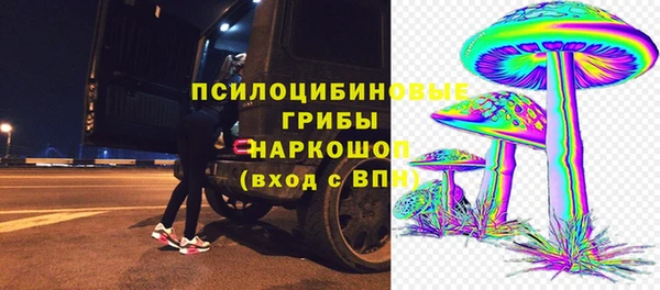 тгк Нязепетровск