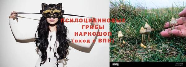 тгк Нязепетровск