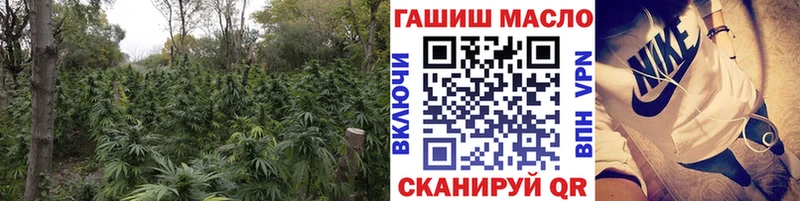 ТГК гашишное масло Курчалой