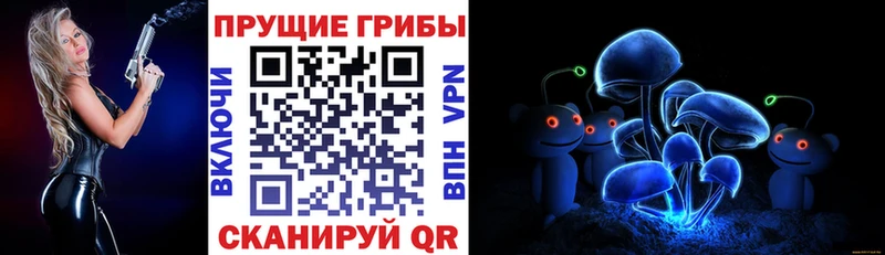 гидра маркетплейс  Курчалой  Псилоцибиновые грибы ЛСД 