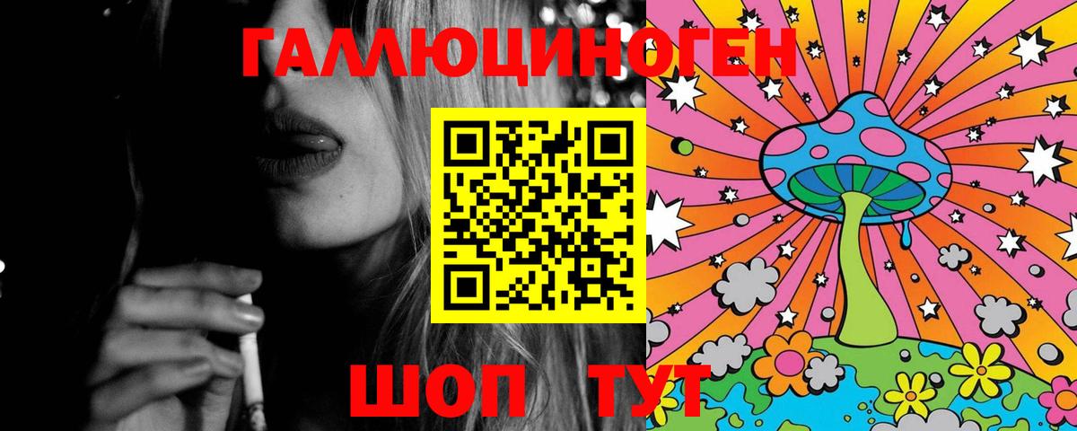 Курчалой  Псилоцибиновые грибы GOLDEN TEACHER  Вход с VPN 