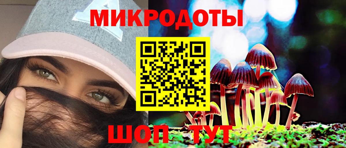 Псилоцибиновые грибы прущие грибы  Курчалой 